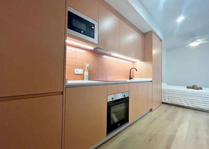 Loft En El Centro De Botanico 3 * فالنسيا